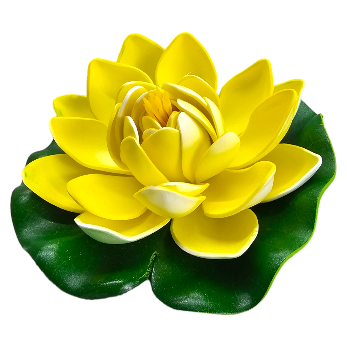 Lotus Gelb