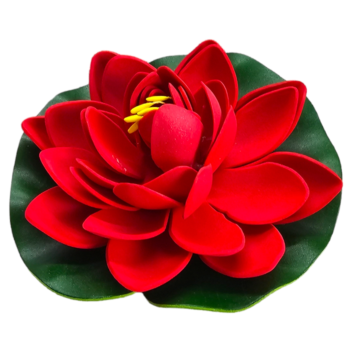 Lotus Rot