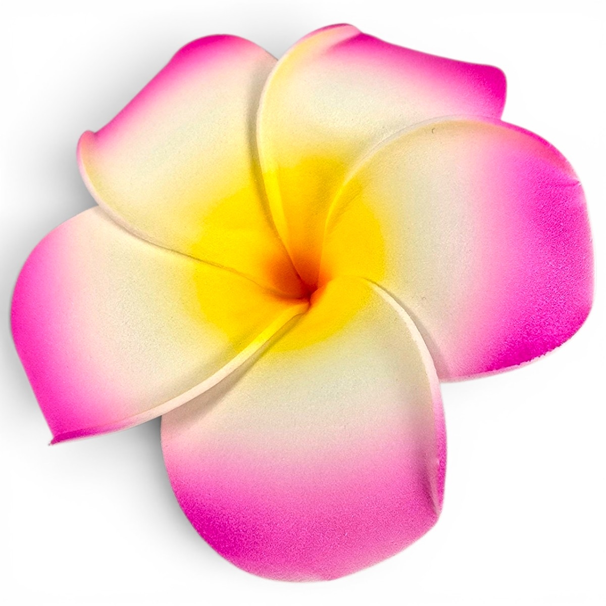 Blume Pink Blume Pink