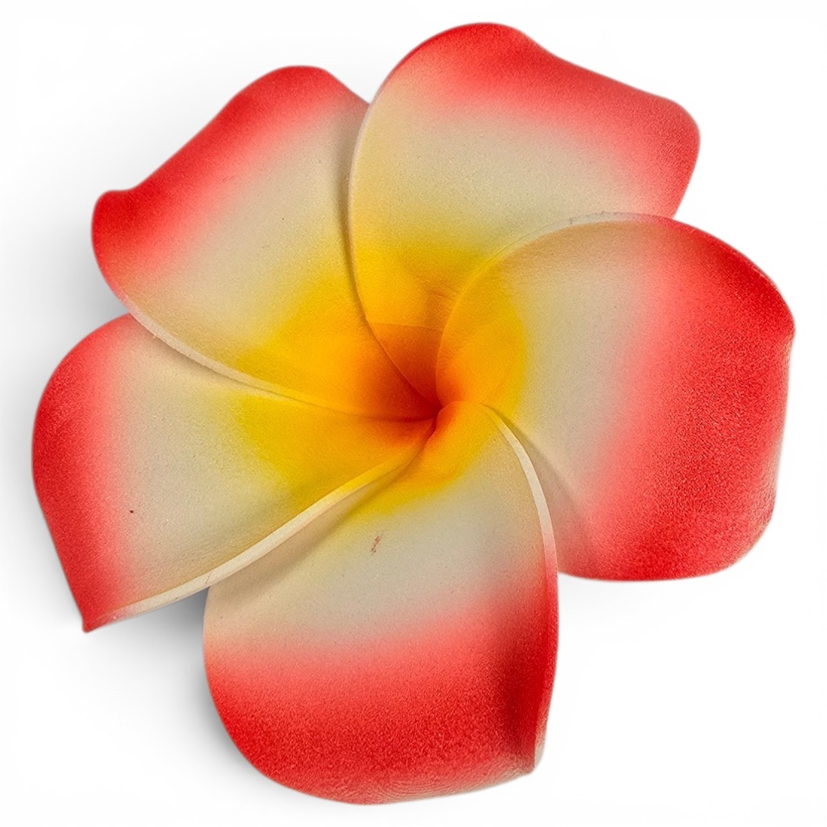 Blume Rot