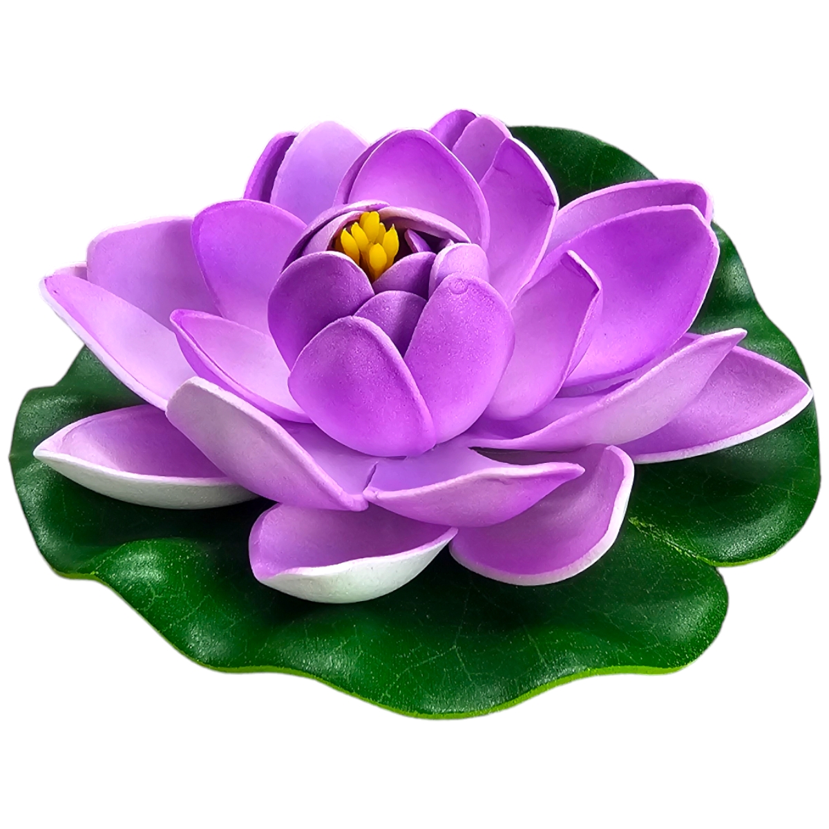 Lotus Lila Lotus Lila