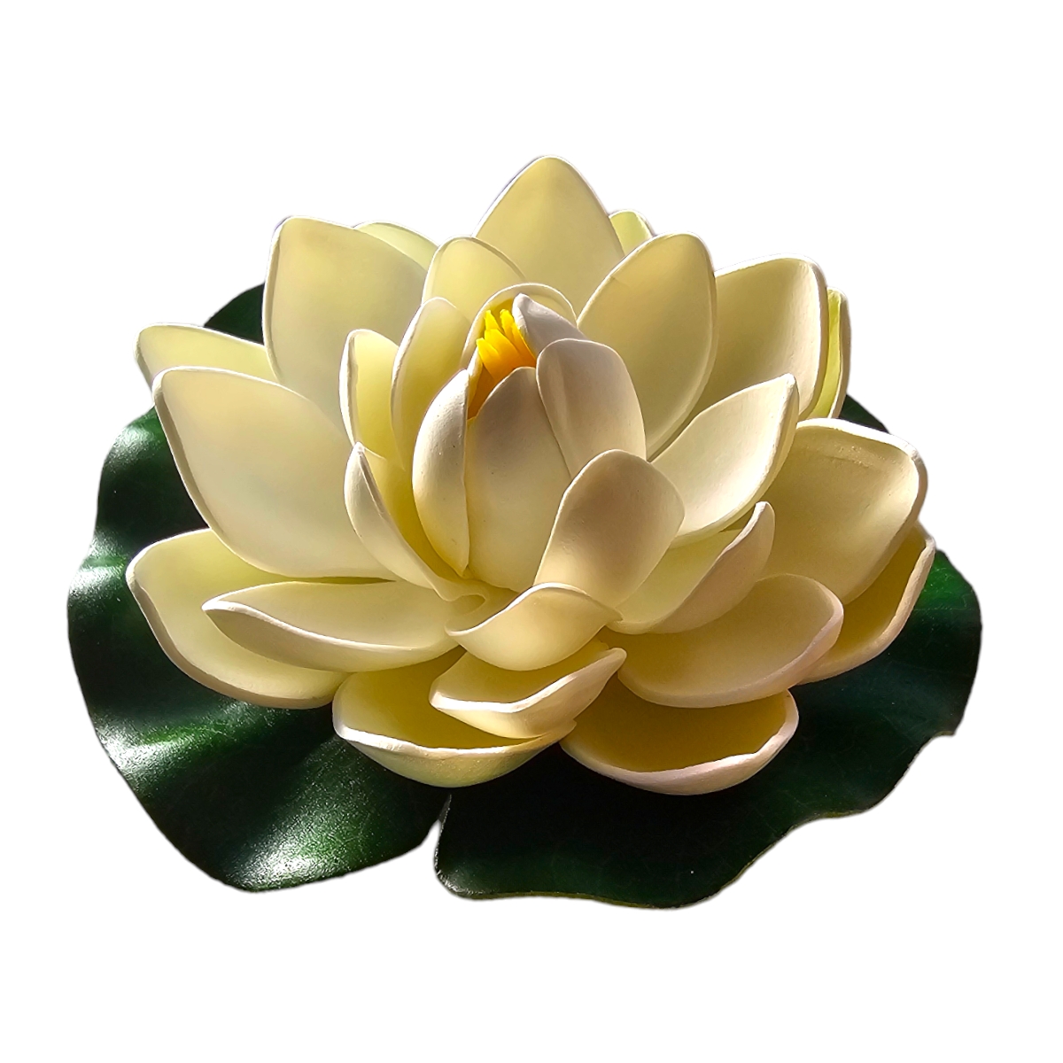 Lotus Weiß