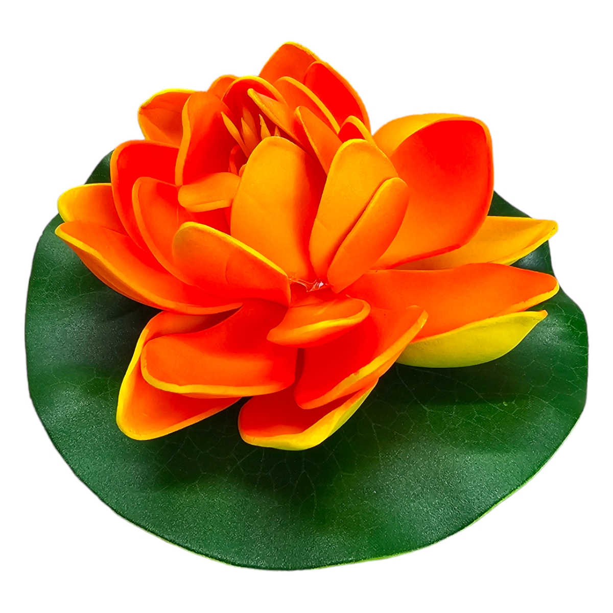 Lotus Orange