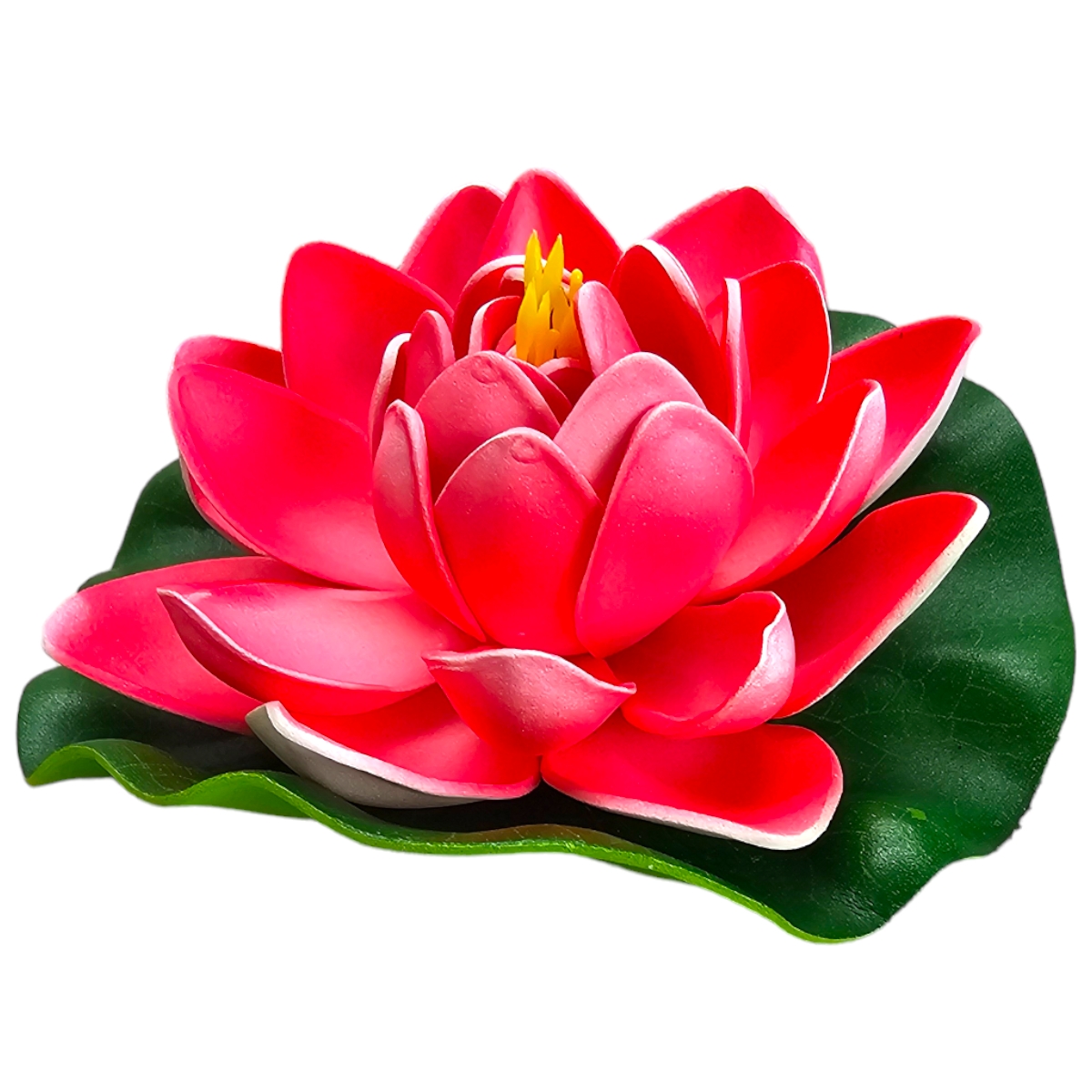 Lotus Rot/Weiß